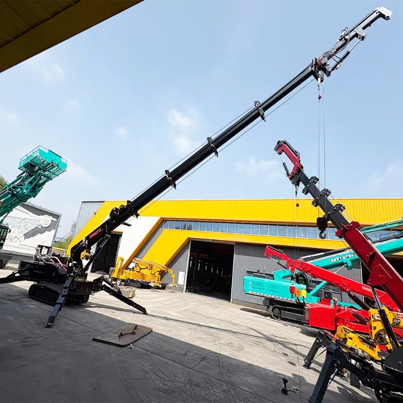 Grua Personalizzata 10 12 14 1 - Compact Crawler Boom Lift recensione e prezzo