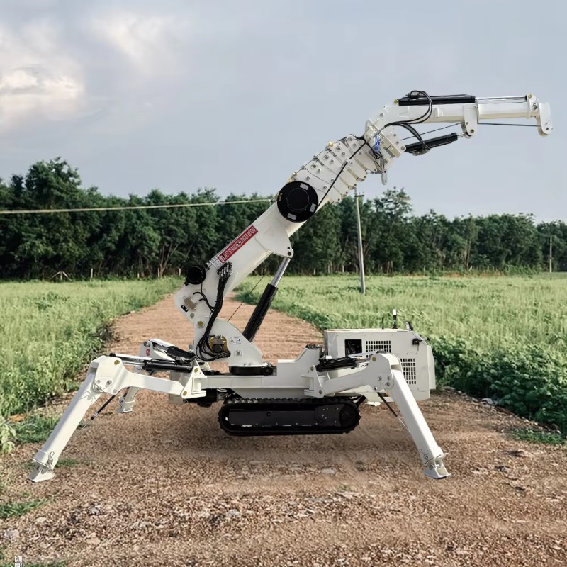 Mini Gru Compatta a Ragno con  - Compact Crawler Boom Lift recensione e prezzo