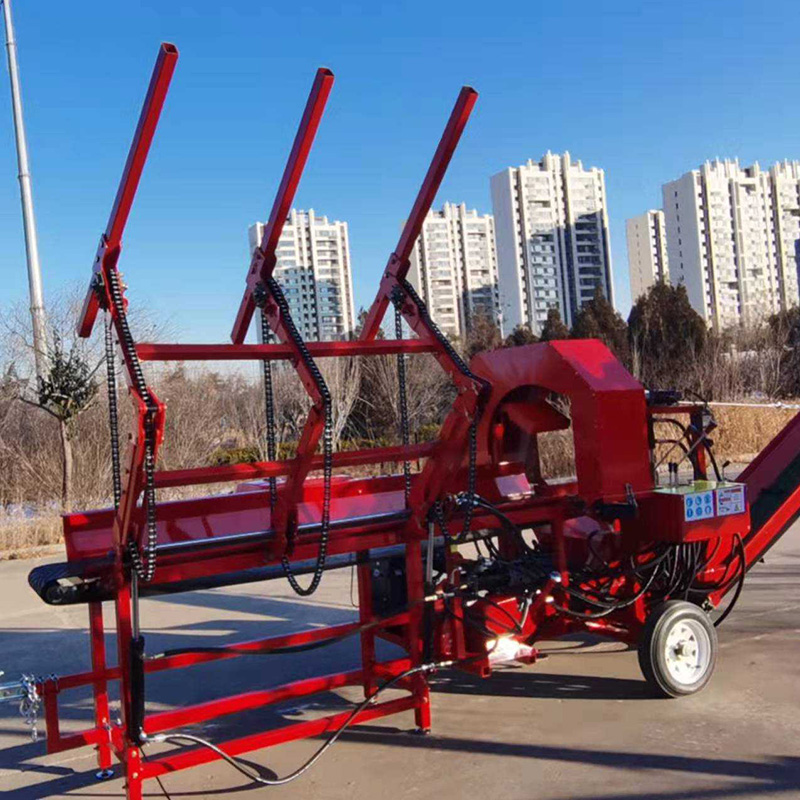 Spaccalegna Professionale a 6  - Heavy Equipment Processor recensione e prezzo